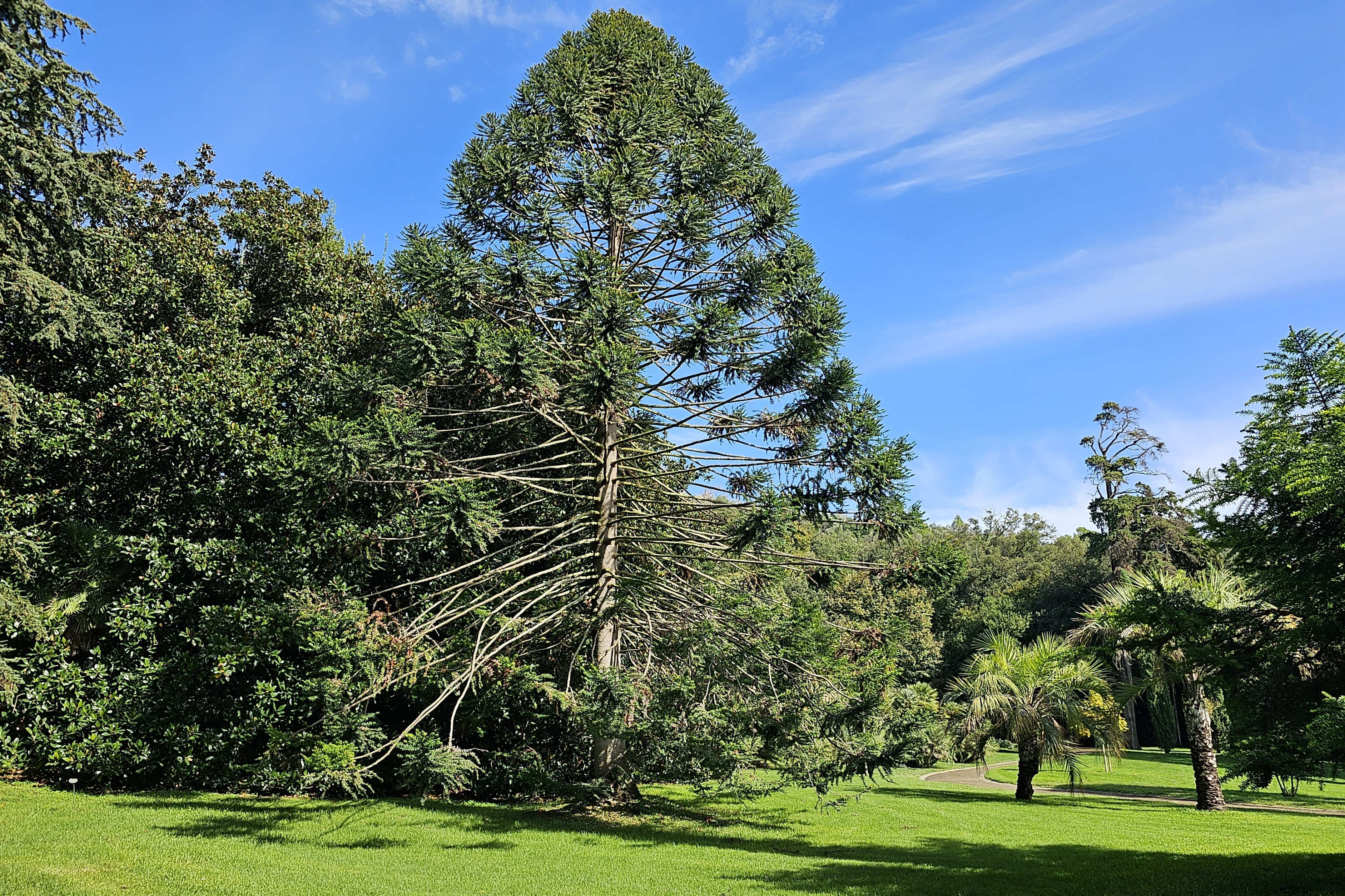 English Garden